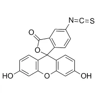 Fluorescein isothiocyanat
